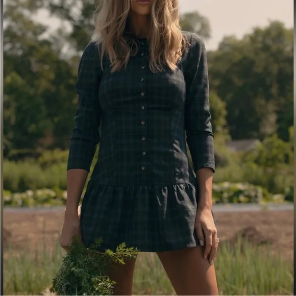 Dairy Boy Meadow dress in Tahoe size 6 NWT - Picture 10 of 16